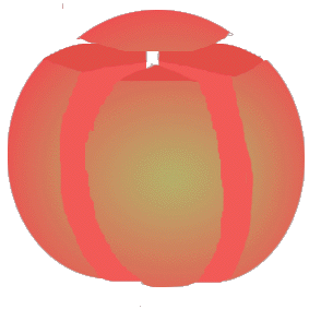 Convex Geometry