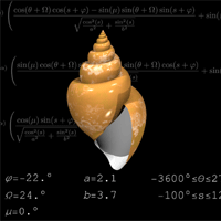 The math of the shells