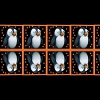 coleccoes de imagens