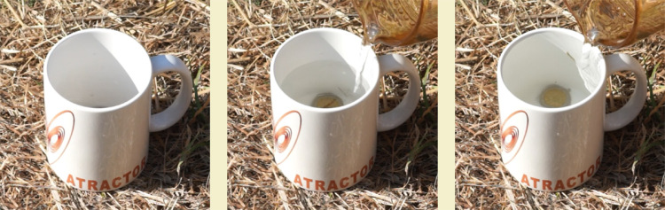 caneca